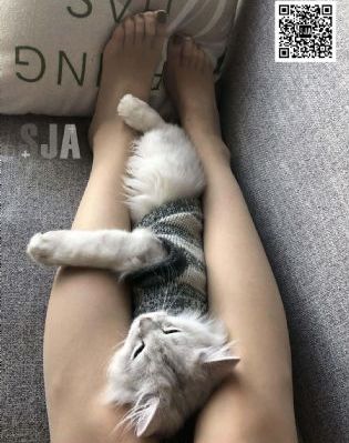 厨房喂奶乳hh-完结免费全集观看