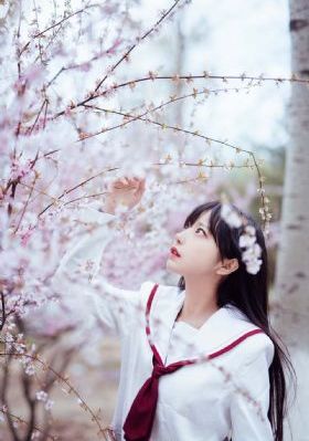无码精品一区二区在线A片软件-高清字幕高清视频观看